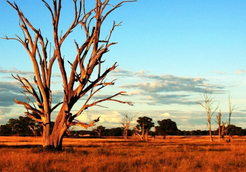 What is a typical australian culture?